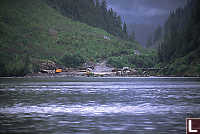 Logging Site on Doc Creek