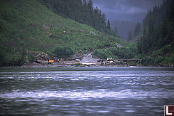 Logging Site on Doc Creek