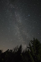 Milky Way Over Forest