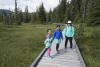 Walking On Alpine Boardwalk