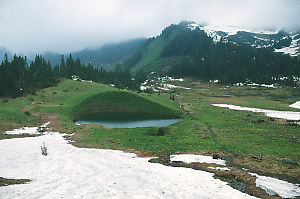 Small Lake In Meadow