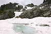 Small Alpine Water Hole