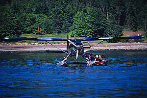 Loading Beaver