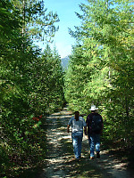 Walking Up Road