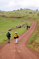 Walking To Stormy Batter