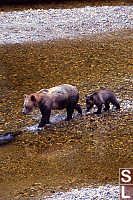 Baby And Mom Walking Toward Log