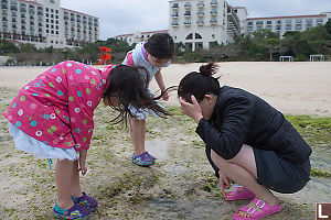 Looking Into Tidepools