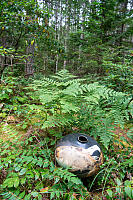 Pot In Natural Setting