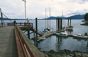 Hope Bay Government Dock
