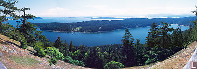 View From Mount Norman