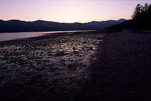 Mud Flats at Sunset