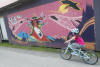 Claira Biking Past Mural