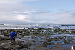 Eric Looking In Pools