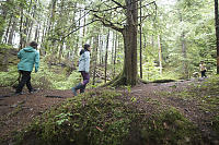 Walking Up Switchbacks