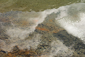 Orange Stains On Lake Bottom