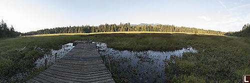 Hamilton Marsh