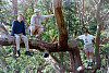 Guys in Trees