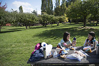 Lunch At Park