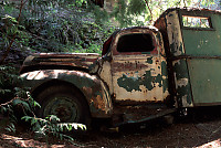 Old Ford Truck