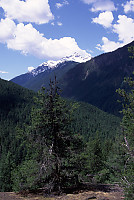 The View from Hatchethead Mountain (half way up)