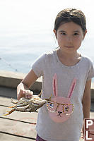 Nara Holding Dungeness Crab