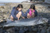 Kids Touching Plates On Sturgeon