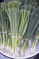 Spring Onions In Basin