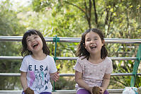 Eating Muffins At The Zoo