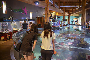 Entrance To Ucluelet Aquarium