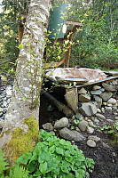 Tub With False Lily Of The Valley