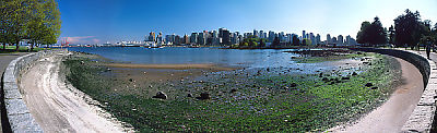 Downtown Vancouver From Stanley Park, in Spring
