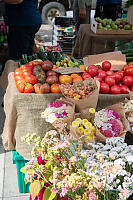 Flowers And Tomatoes