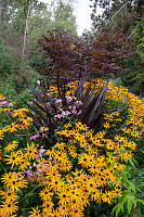 Flowers At Outerbridge Park
