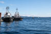 Tugboats And Ferry