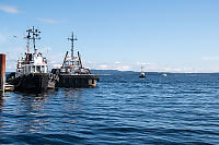 Tugboats And Ferry