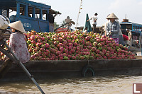 Boat Full Of Dragon Fruit