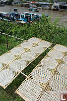 Drying Rice Paper
