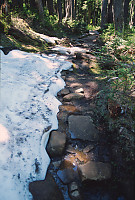 Trail Half Covered In Snow