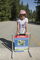 Toad Migration Sign