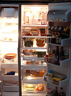 Fridge Before